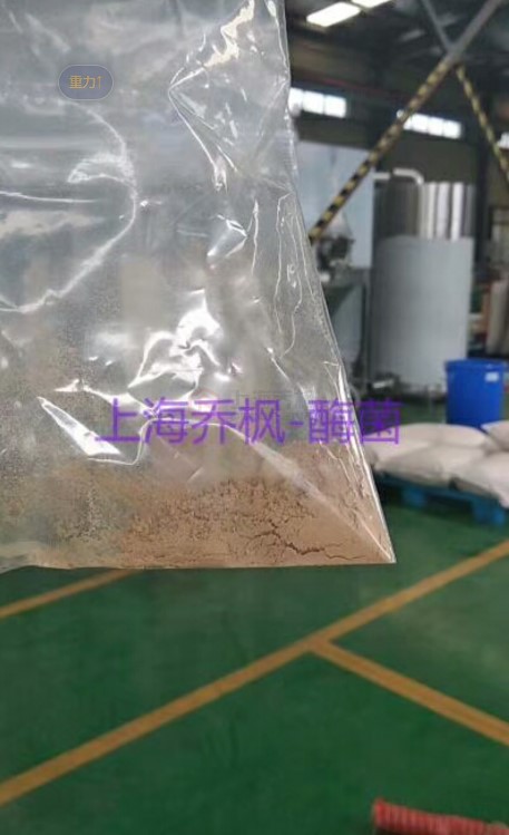 采用低溫噴霧干燥機做霉菌溶液干燥實驗效果極佳